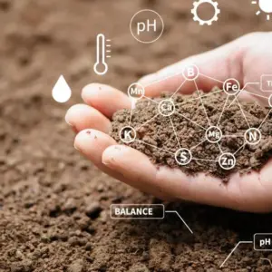 Long-Term Soil Improvement Plan (Annual)