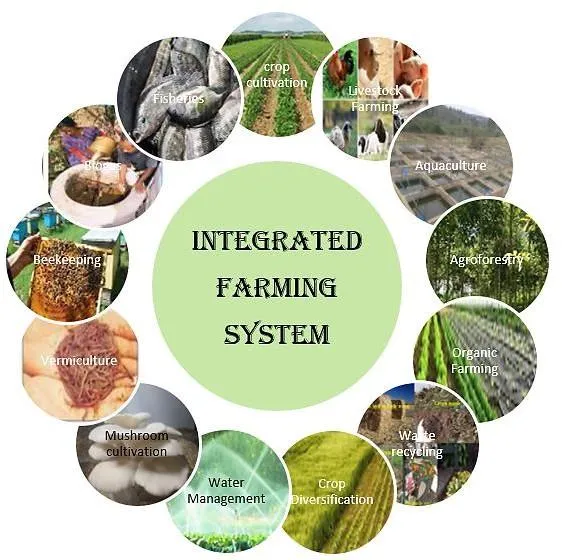 Integrated Farming System Design